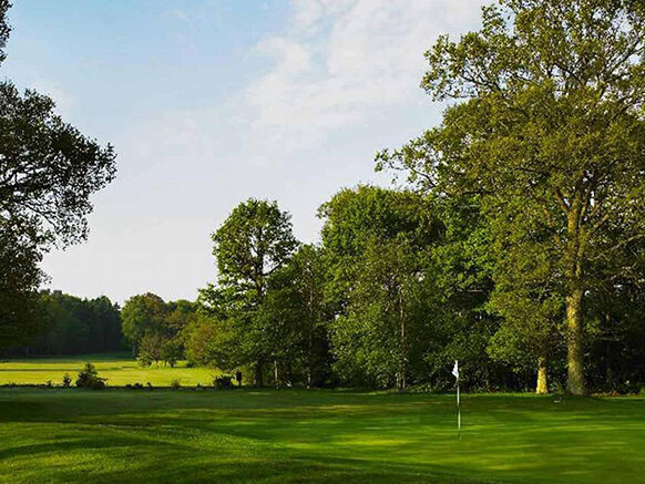 cropped-Lingfield-Park-Banner-02.jpg